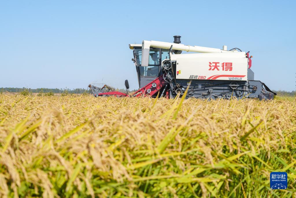 aqq安装下载